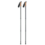 Kijki do nordic walking - obrazek 2