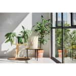Płócienna torba 270 gr / m² - obrazek 5
