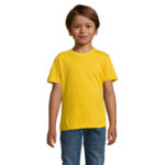 REGENT Dziecięcy T-SHIRT - obrazek 34