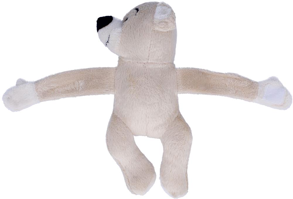 BODY of BEAR