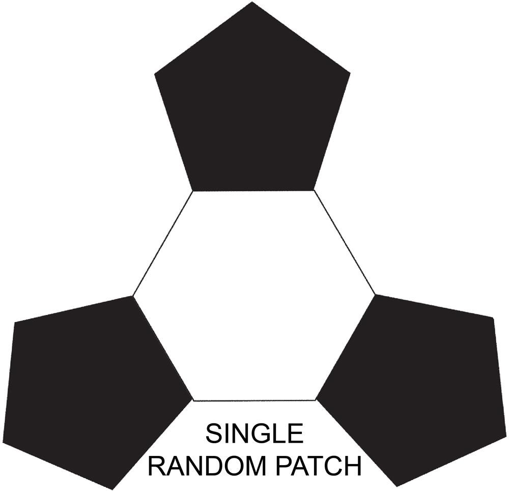 Single Random Patch