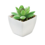 Mini sztuczna roślina w kształcie graptopetalum z tworzywa