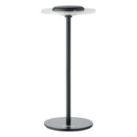 Akumulatorowa żelazna lampa - obrazek 4
